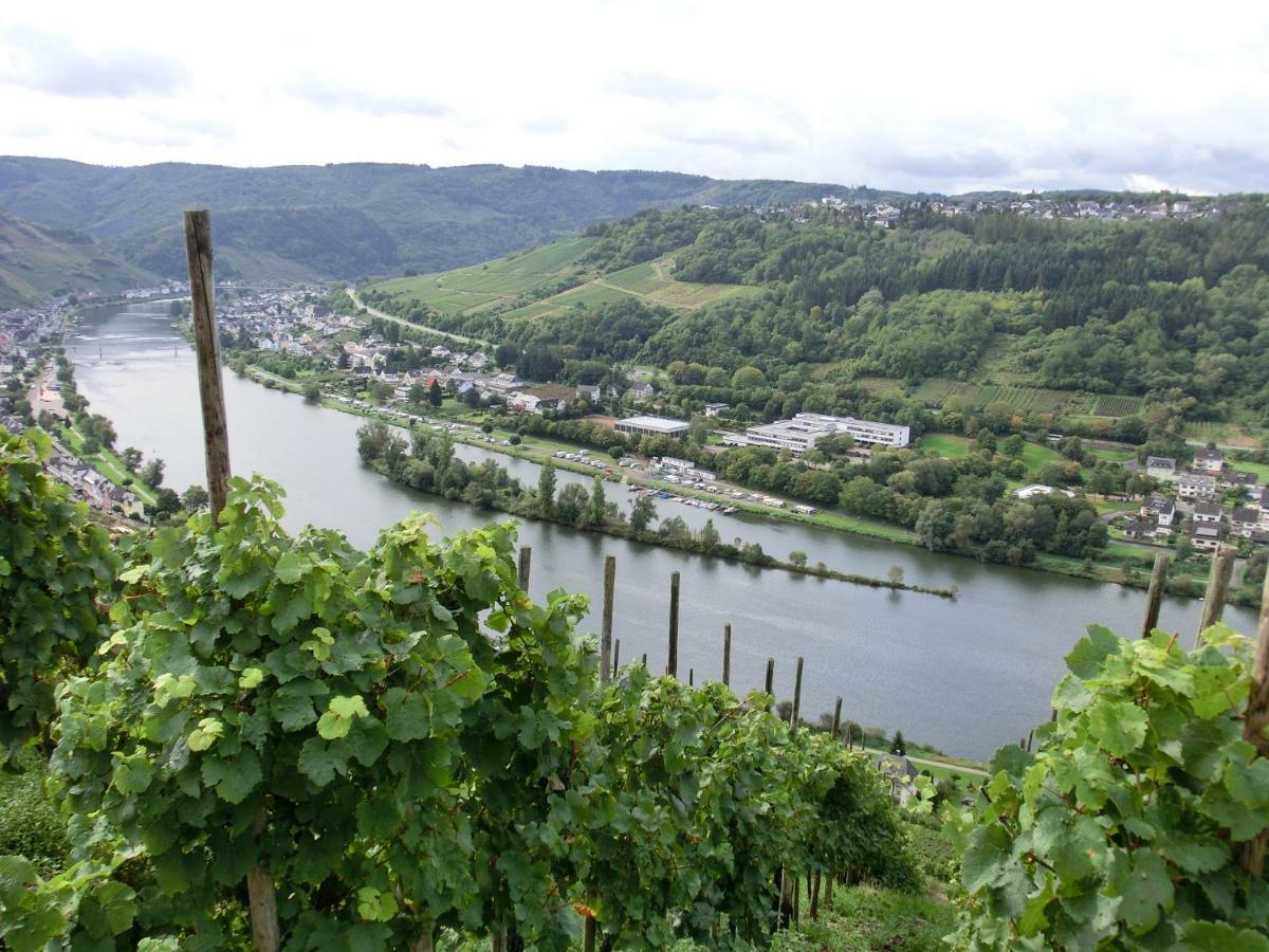 Beim Winzer Apartment Zell an der Mosel Luaran gambar